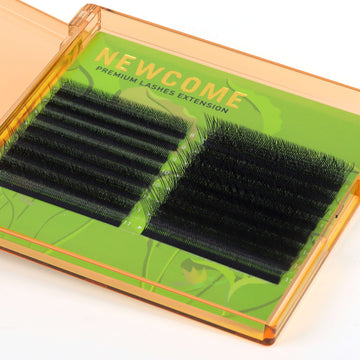 W Lashes Premade Fans (Black/Brown) 0.07MM